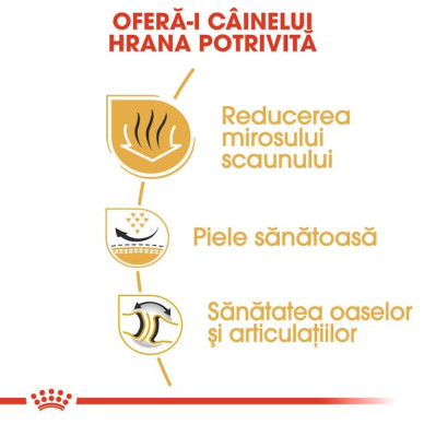 Royal Canin Bulldog Adult – Hrană Uscată pentru Câini Adulți din Rasa Bulldog – 3 kg